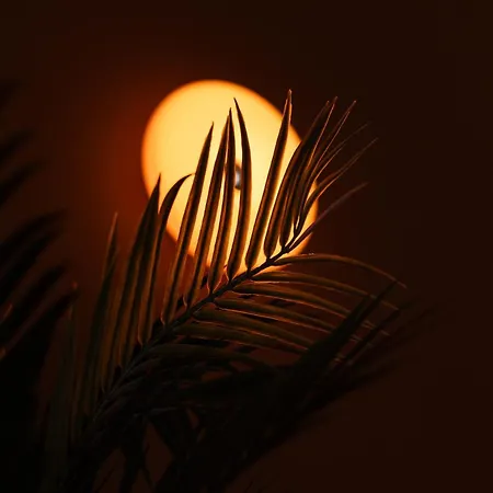 Projectsync - By Joeandkey Θεσσαλονίκη